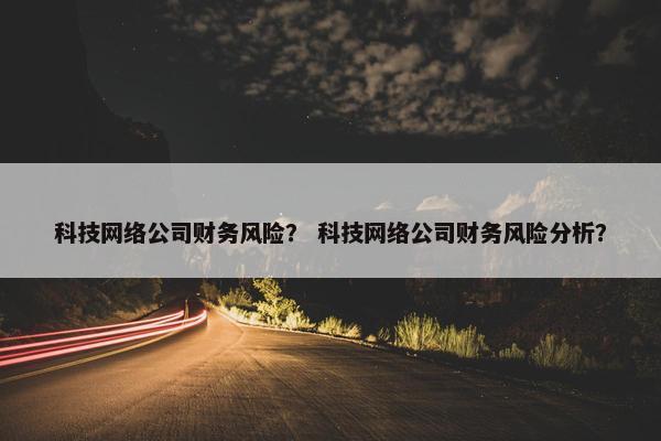 科技网络公司财务风险？ 科技网络公司财务风险分析？