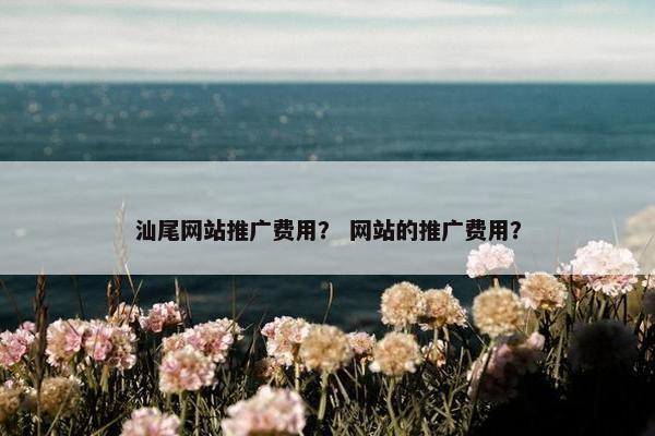 汕尾网站推广费用？ 网站的推广费用？
