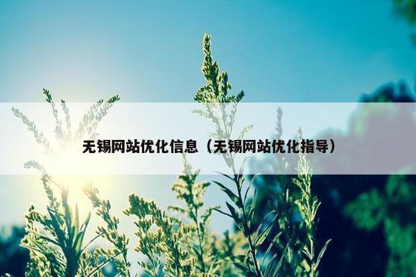 无锡网站优化信息（无锡网站优化指导）