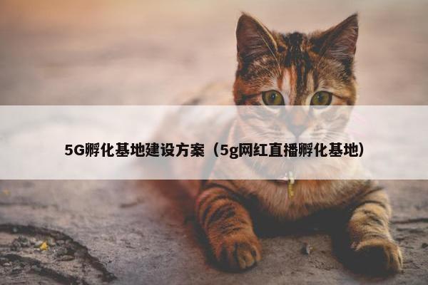5G孵化基地建设方案（5g网红直播孵化基地）