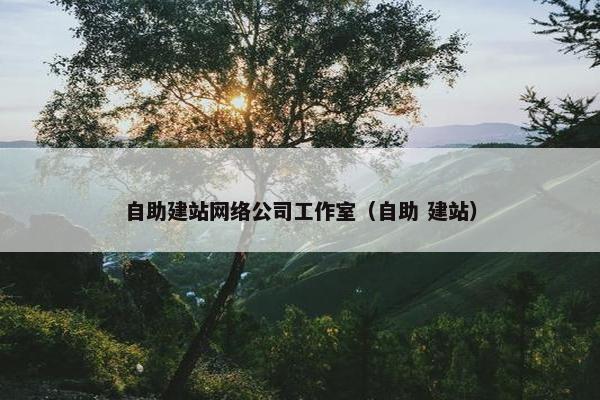 自助建站网络公司工作室（自助 建站）