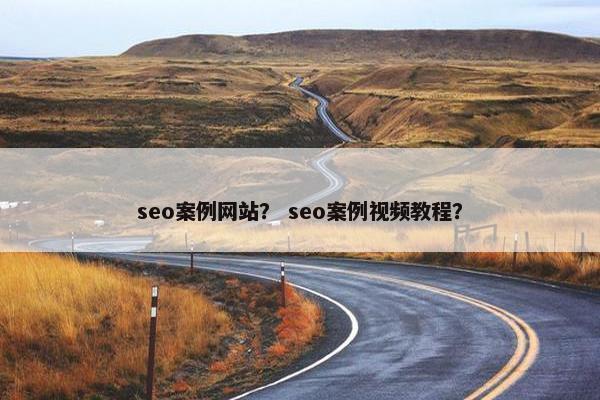 seo案例网站？ seo案例视频教程？