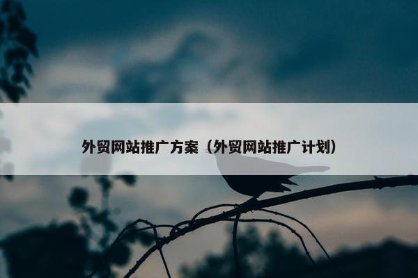 外贸网站推广方案（外贸网站推广计划）