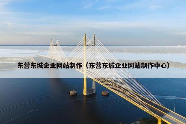 东营东城企业网站制作（东营东城企业网站制作中心）