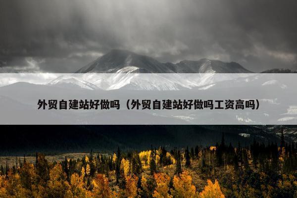外贸自建站好做吗（外贸自建站好做吗工资高吗）