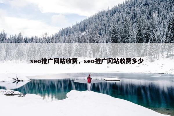 seo推广网站收费，seo推广网站收费多少