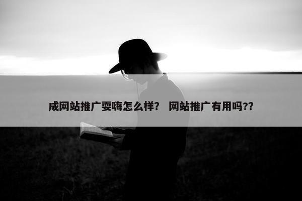 成网站推广耍嗨怎么样？ 网站推广有用吗?？