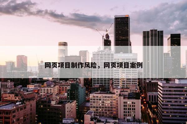 网页项目制作风险，网页项目案例
