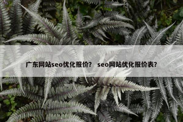 广东网站seo优化报价？ seo网站优化报价表？