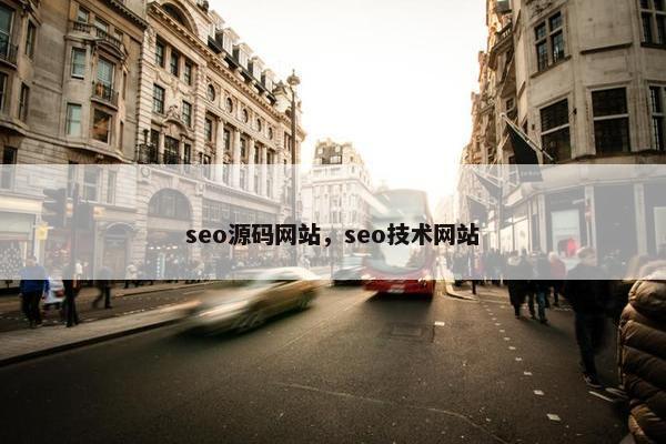seo源码网站，seo技术网站
