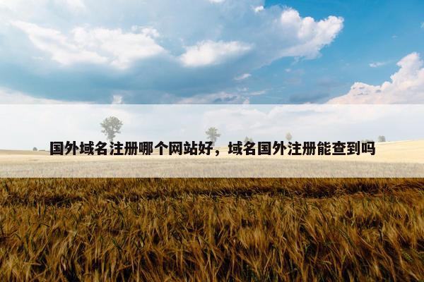 国外域名注册哪个网站好，域名国外注册能查到吗
