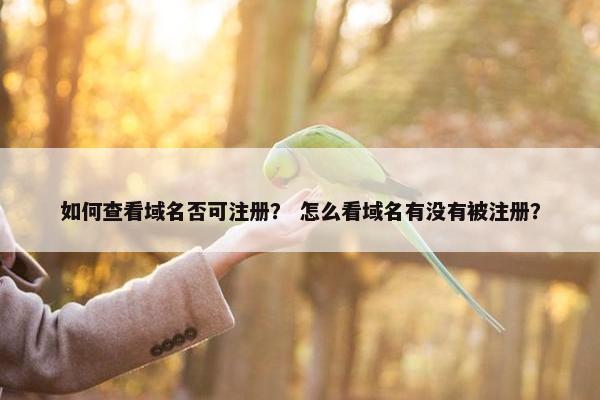 如何查看域名否可注册？ 怎么看域名有没有被注册？