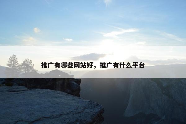 推广有哪些网站好，推广有什么平台