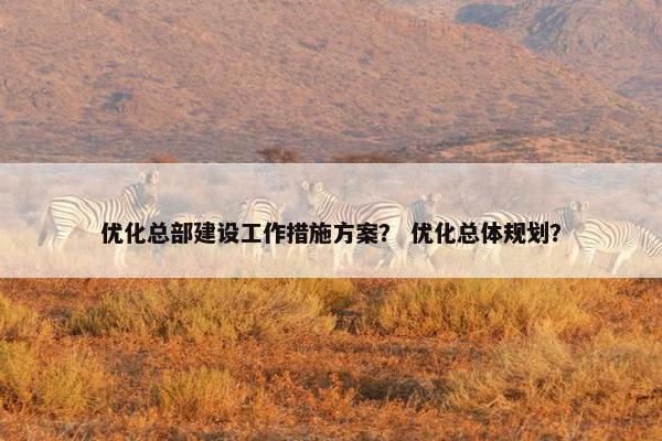 优化总部建设工作措施方案？ 优化总体规划？
