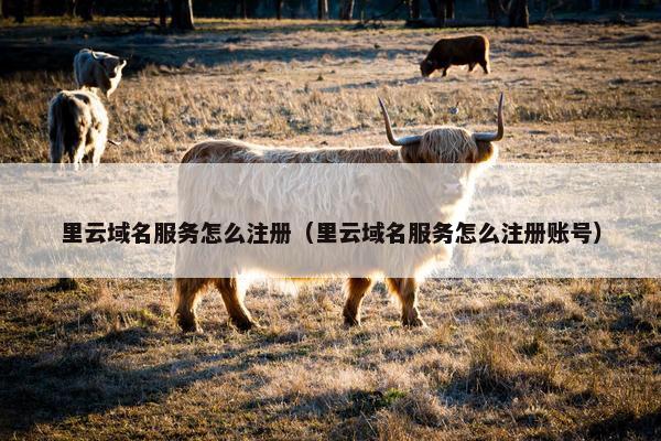 里云域名服务怎么注册（里云域名服务怎么注册账号）