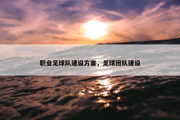 职业足球队建设方案，足球团队建设