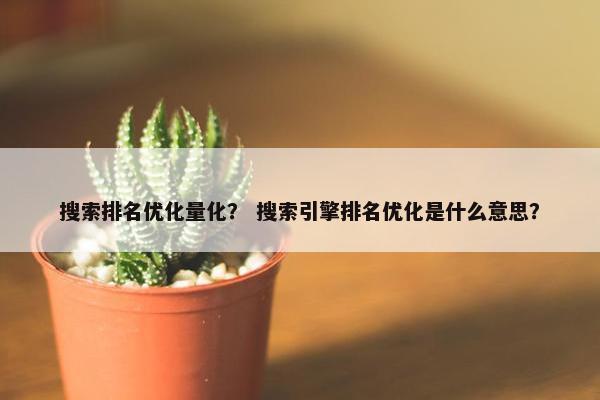 搜索排名优化量化？ 搜索引擎排名优化是什么意思？