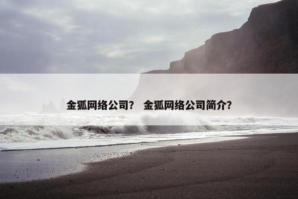 金狐网络公司？ 金狐网络公司简介？