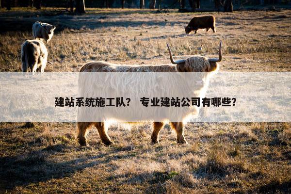 建站系统施工队？ 专业建站公司有哪些？