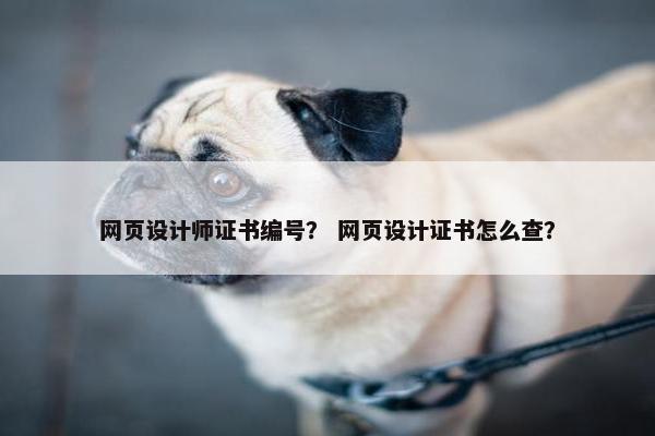 网页设计师证书编号？ 网页设计证书怎么查？