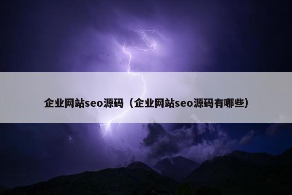 企业网站seo源码（企业网站seo源码有哪些）