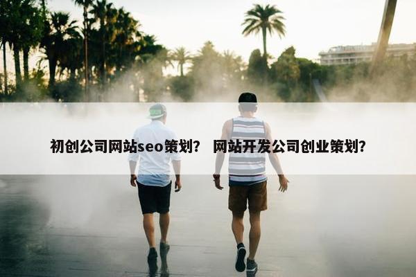 初创公司网站seo策划？ 网站开发公司创业策划？