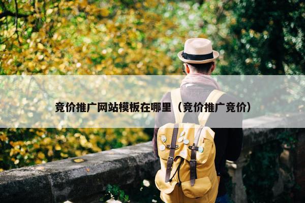 竞价推广网站模板在哪里（竞价推广竞价）