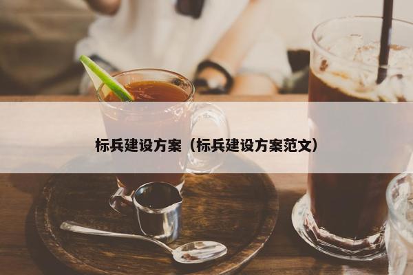 标兵建设方案（标兵建设方案范文）