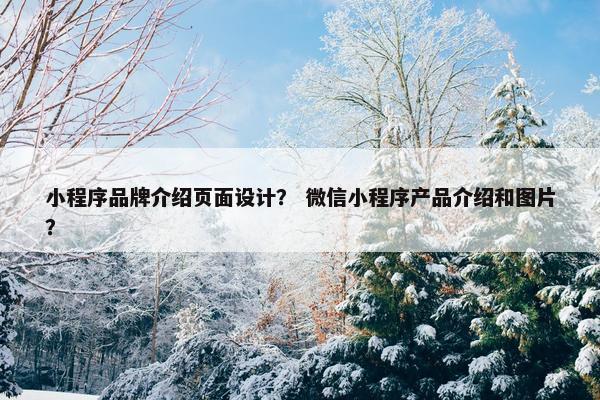 小程序品牌介绍页面设计？ 微信小程序产品介绍和图片？