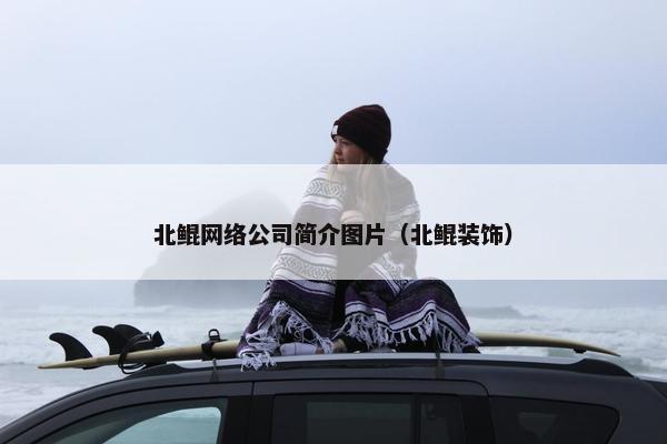 北鲲网络公司简介图片（北鲲装饰）