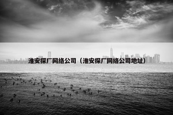 淮安探厂网络公司（淮安探厂网络公司地址）