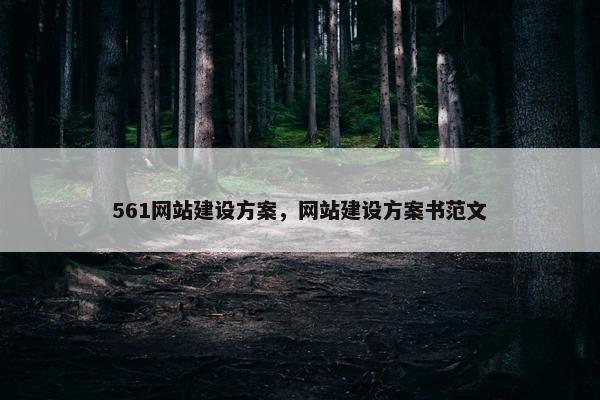 561网站建设方案，网站建设方案书范文