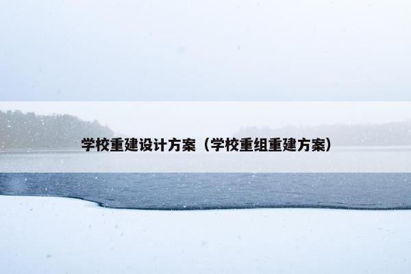 学校重建设计方案（学校重组重建方案）