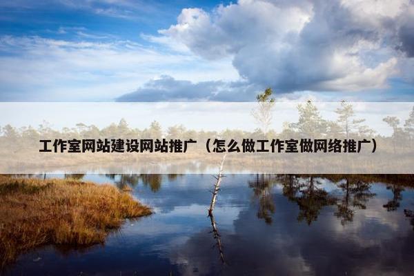 工作室网站建设网站推广（怎么做工作室做网络推广）