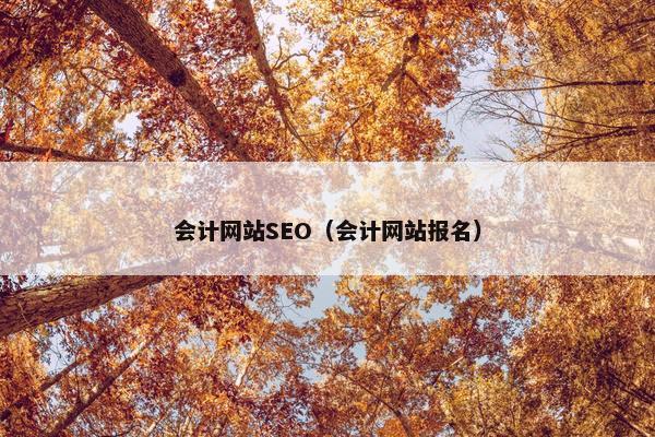 会计网站SEO（会计网站报名）