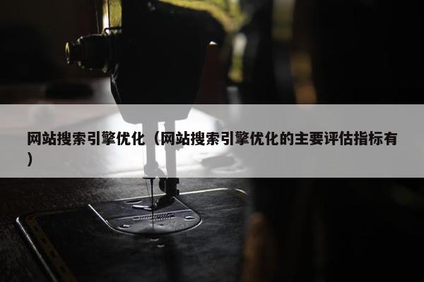 网站搜索引擎优化（网站搜索引擎优化的主要评估指标有）
