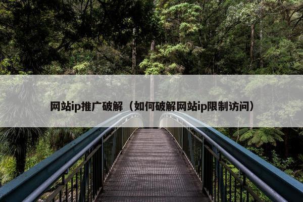 网站ip推广破解（如何破解网站ip限制访问）