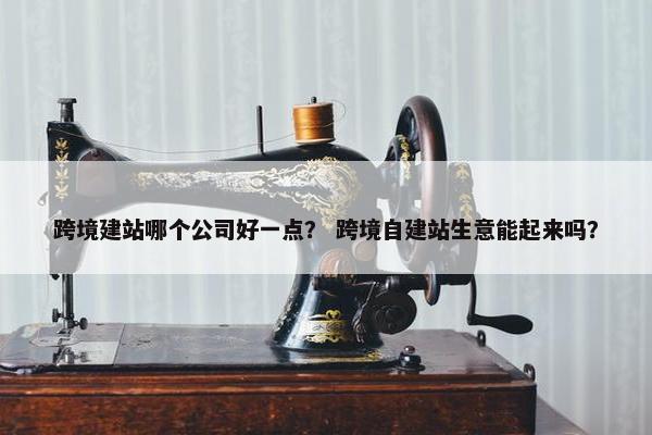跨境建站哪个公司好一点？ 跨境自建站生意能起来吗？