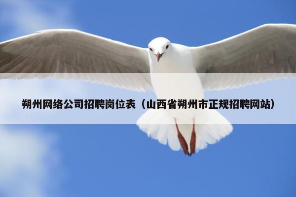 朔州网络公司招聘岗位表（山西省朔州市正规招聘网站）