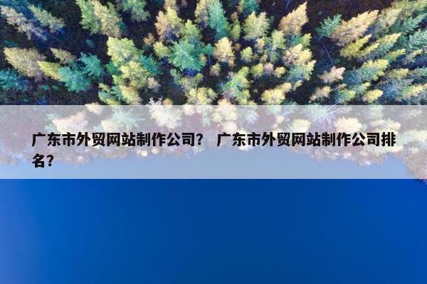 广东市外贸网站制作公司？ 广东市外贸网站制作公司排名？