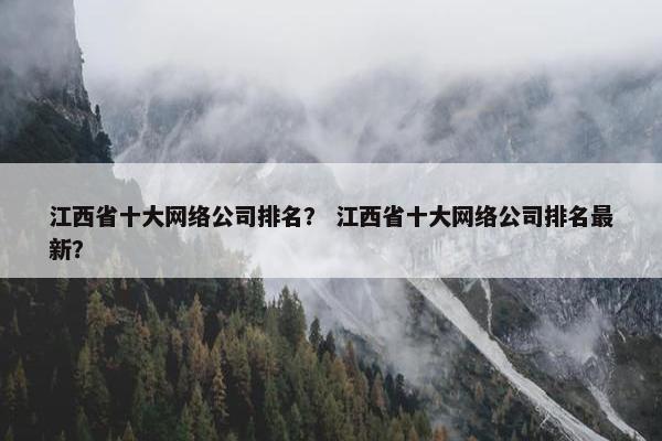 江西省十大网络公司排名？ 江西省十大网络公司排名最新？