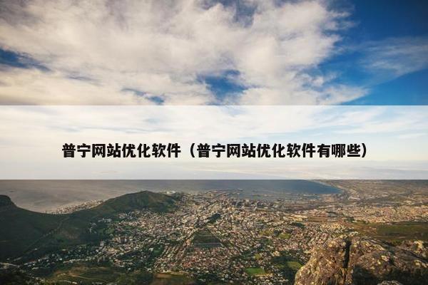 普宁网站优化软件（普宁网站优化软件有哪些）