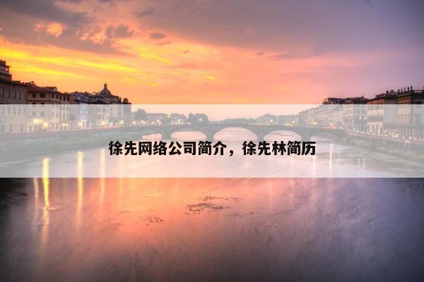 徐先网络公司简介，徐先林简历