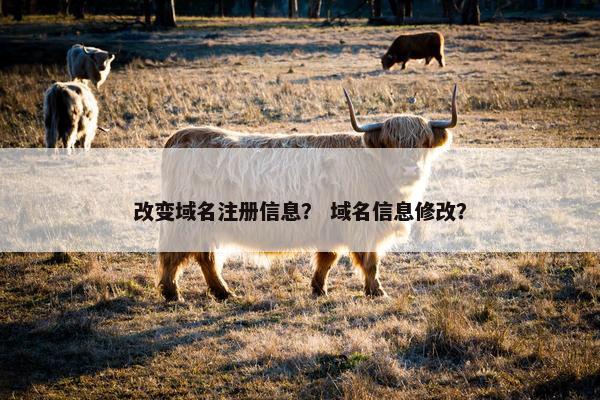 改变域名注册信息？ 域名信息修改？