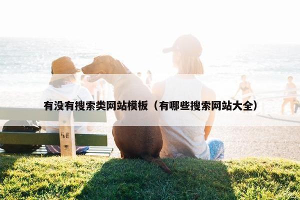有没有搜索类网站模板（有哪些搜索网站大全）