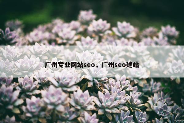 广州专业网站seo，广州seo建站
