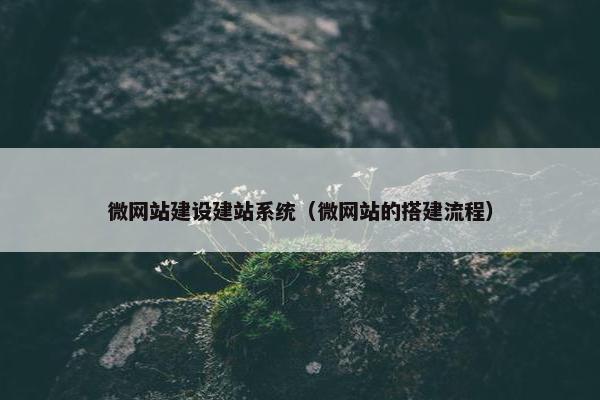 微网站建设建站系统（微网站的搭建流程）