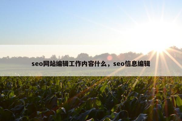 seo网站编辑工作内容什么，seo信息编辑