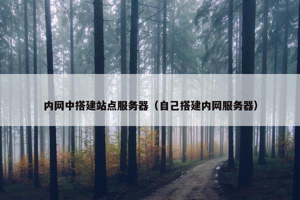 内网中搭建站点服务器（自己搭建内网服务器）