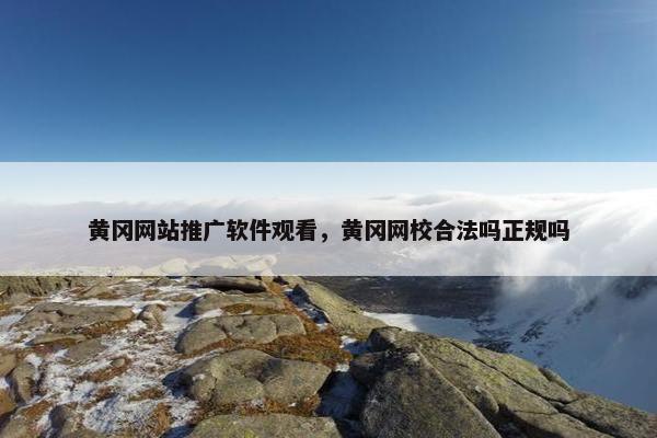 黄冈网站推广软件观看，黄冈网校合法吗正规吗